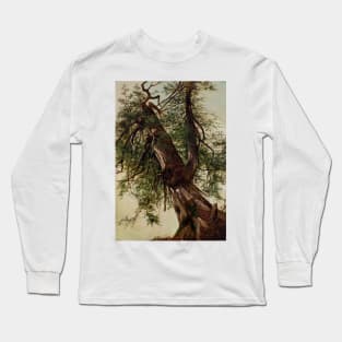 Study of a Cedar by David Johnson Long Sleeve T-Shirt